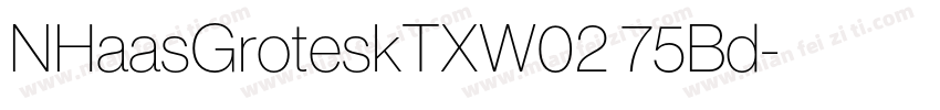 NHaasGroteskTXW02 75Bd字体转换
